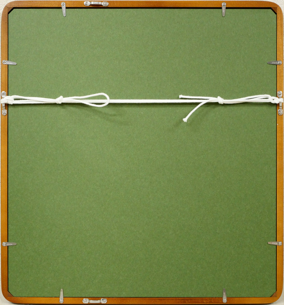 赤穴宏「百魚図」水彩画・色紙 額縁裏側画像