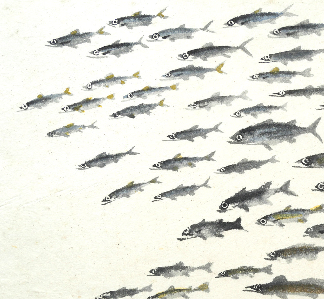 赤穴宏「百魚図」肉筆彩色図 拡大画像1