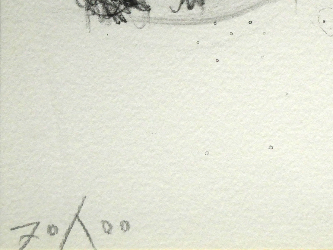 天野喜孝「蒼い月」リトグラフ 限定番号(ed,70/100)