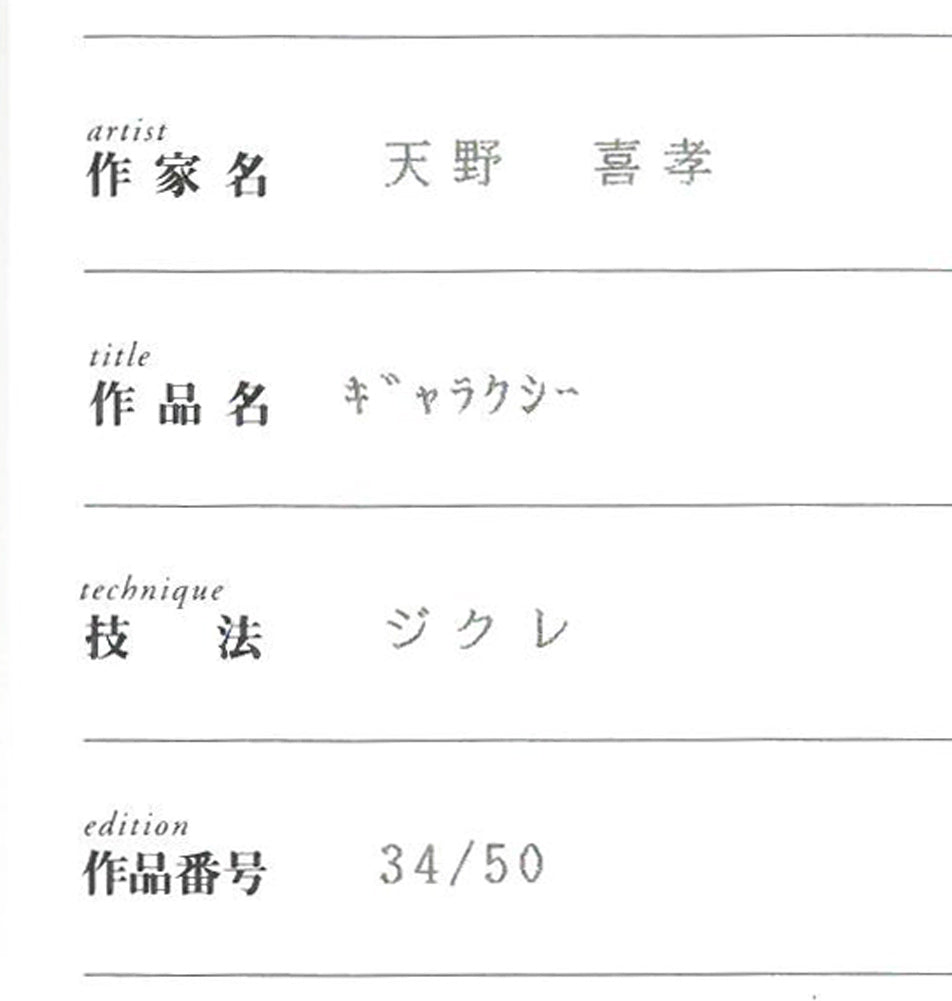 天野喜孝「ギャラクシー」ジクレ版画 保証書拡大画像