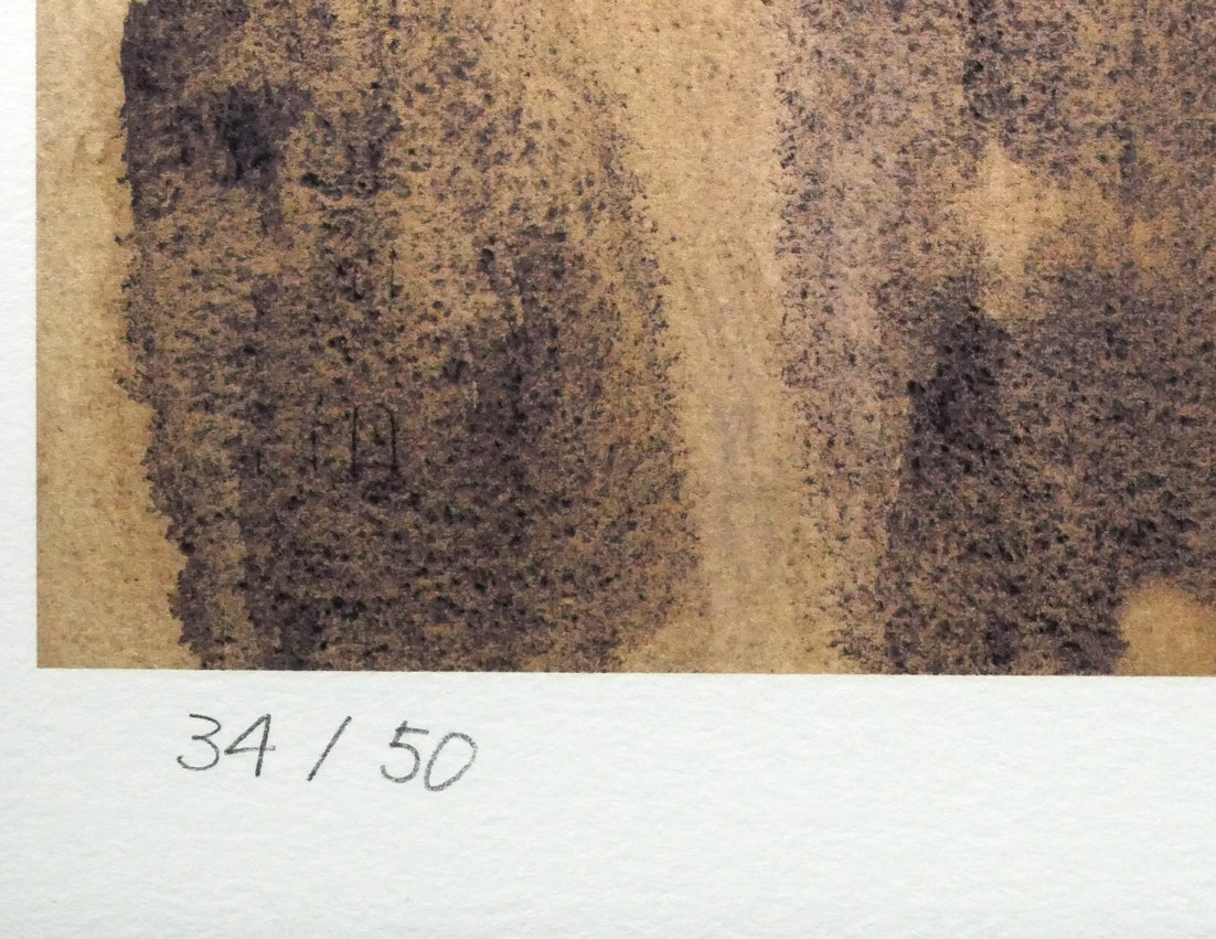 天野喜孝「ギャラクシー」ジクレ版画 限定番号(ed,34/50)