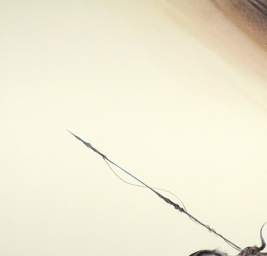 天野喜孝「ギャラクシー」ジクレ版画 拡大画像1