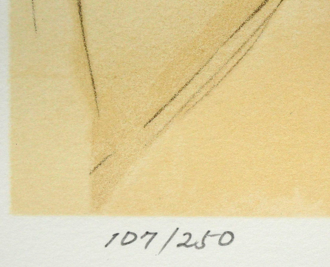 天野喜孝「恋花-れんか-」リトグラフ 限定番号(ed,107/250)