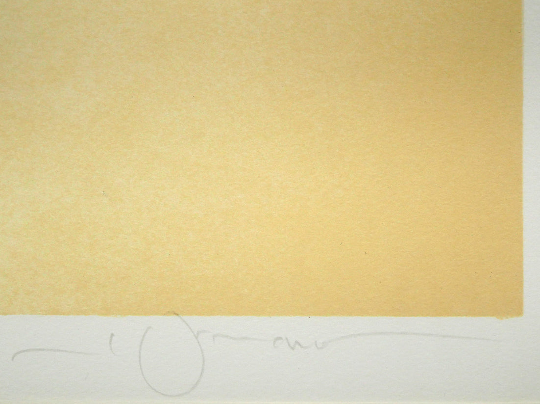 天野喜孝「恋花-れんか-」リトグラフ 本人直筆鉛筆サイン