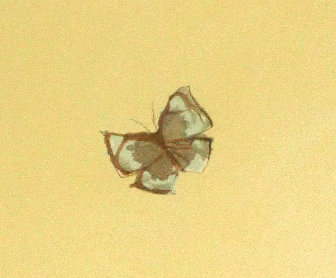 天野喜孝「恋花-れんか-」リトグラフ 拡大画像3