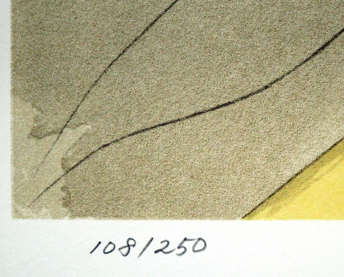 天野喜孝「彩」リトグラフ 限定番号(ed,108/250)