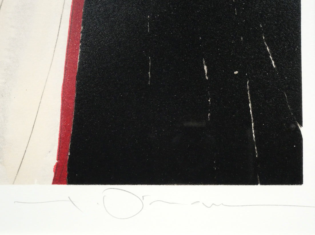 天野喜孝「彩」リトグラフ 本人直筆鉛筆サイン