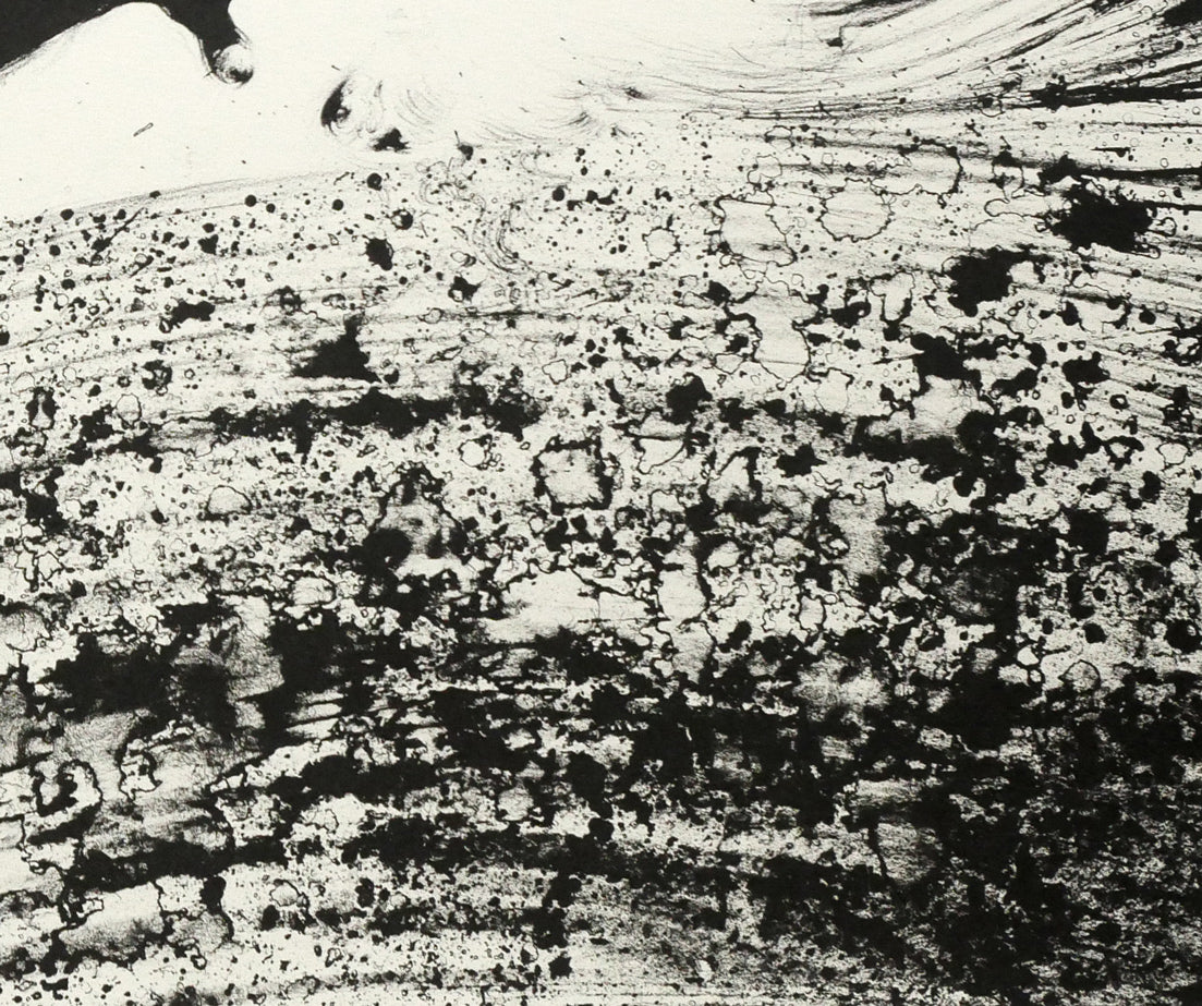 天野喜孝「COULER(クゥレ)」リトグラフ 拡大画像5