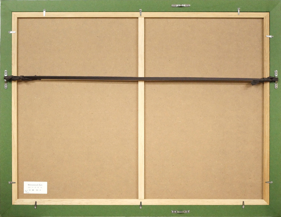 安藤牧子「コスモス(Botanical Art)」版画・10号大 額縁裏側画像