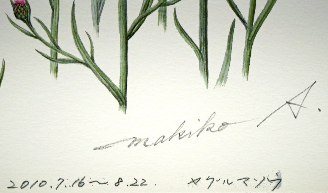安藤牧子「矢車菊(Botanical Art)」版画・10号大 本人直筆鉛筆サイン