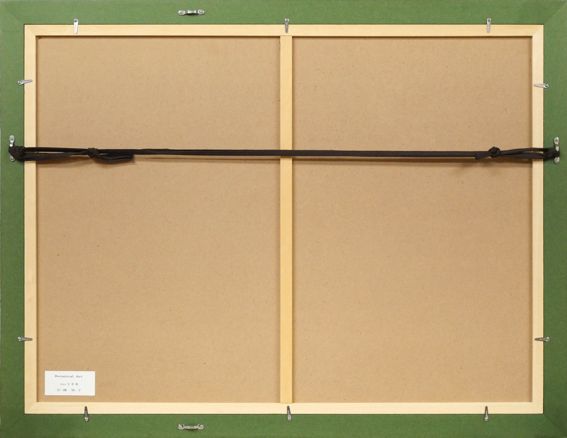 安藤牧子「矢車菊(Botanical Art)」版画・10号大 額縁裏側画像