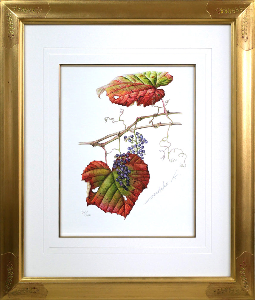 安藤牧子「やまぶどう」版画