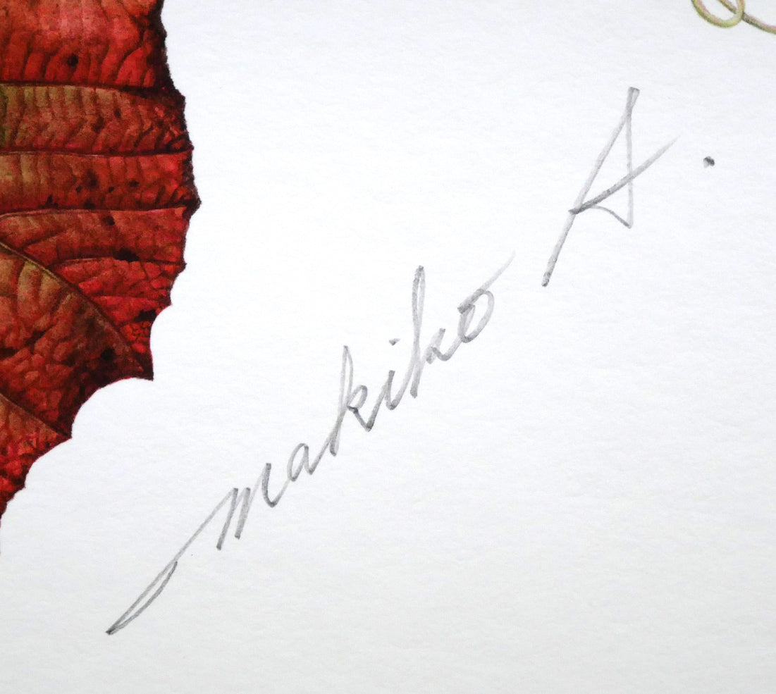 安藤牧子「やまぶどう」版画 サイン画像