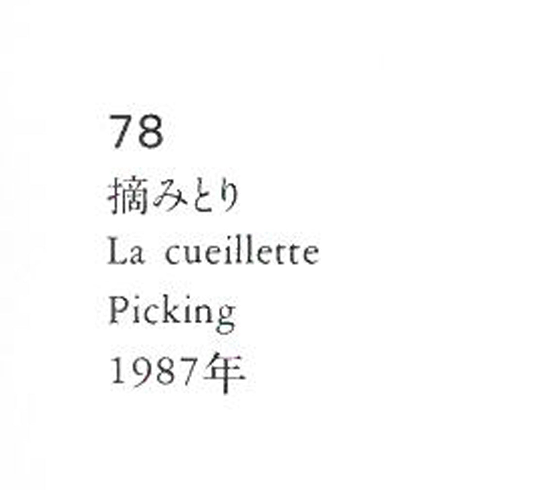 ジャン・ピエール・カシニョール(CASSIGNEUL)『特装限定版カシニョール』オリジナル・リトグラフ「ある日の午後」付 画集内容拡大画像2