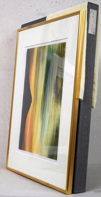 鎮西直秀「翔映乙女峠」美術京友禅染 付属品画像(黄袋、布タトウ箱付)