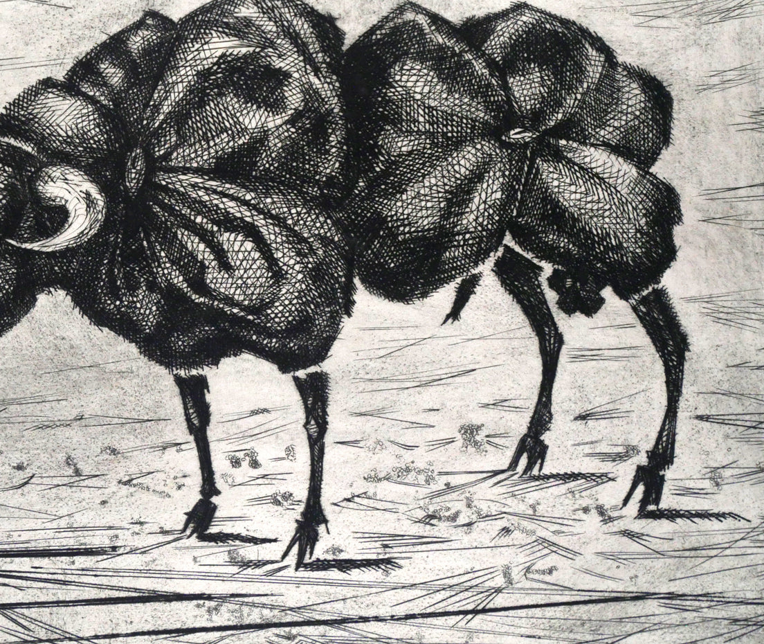ルシアン クートー(Lucien COUTAUD)「花の闘牛(Corrida fleurie)」銅版画 拡大画像4