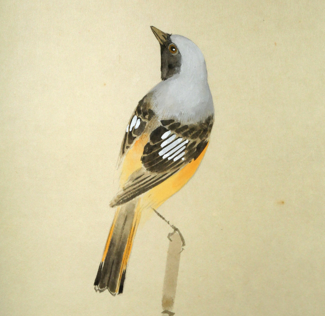 出口華凰「牡丹に小禽」彩色紙本掛軸尺五立・太巻・共箱 拡大画像1