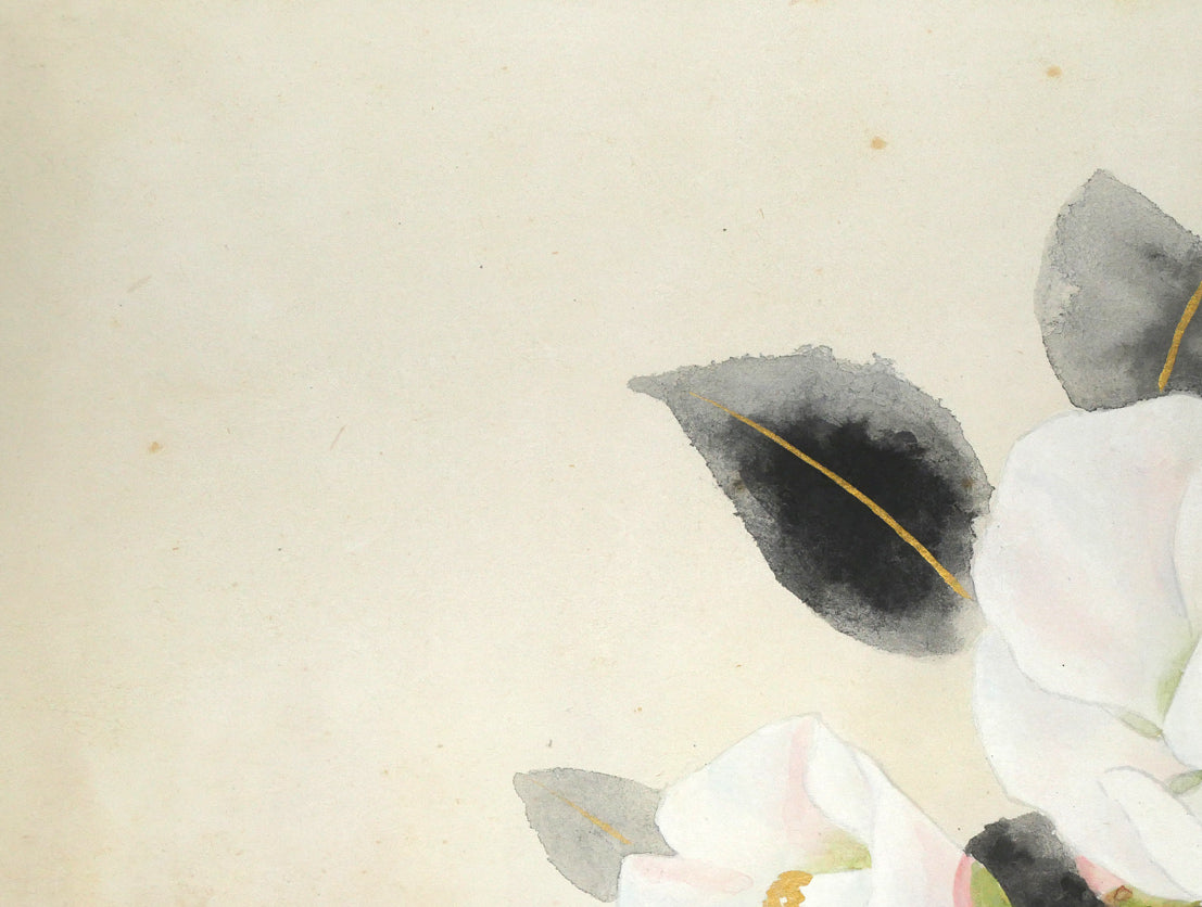 堂本印象「白きつばき」日本画・F6号 拡大画像1