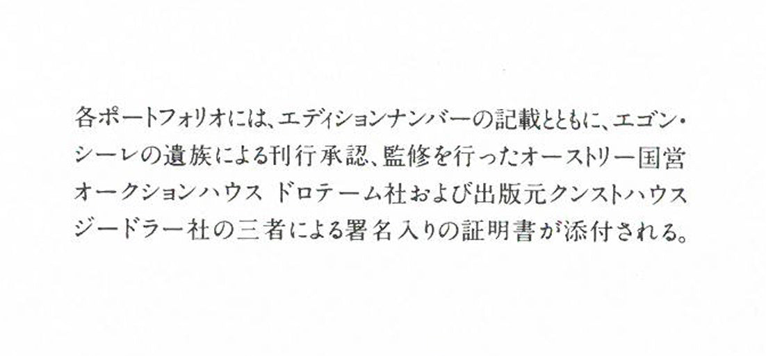 エゴン・シーレ「EGON SCHIELE」リトグラフ・ポートフォリオ(10枚セット額縁付き) 掲載資料5(解説拡大部分)