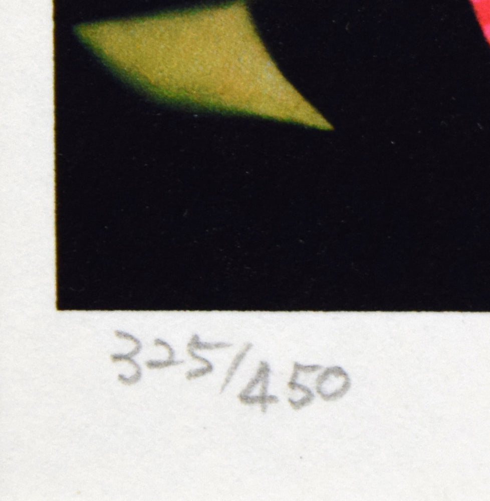 藤城清治「こたつと猫」レフグラフ 限定番号(ed,325/450)