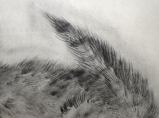 藤田嗣治「アビハイル:(猫の本)より」コロタイプ 拡大画像4