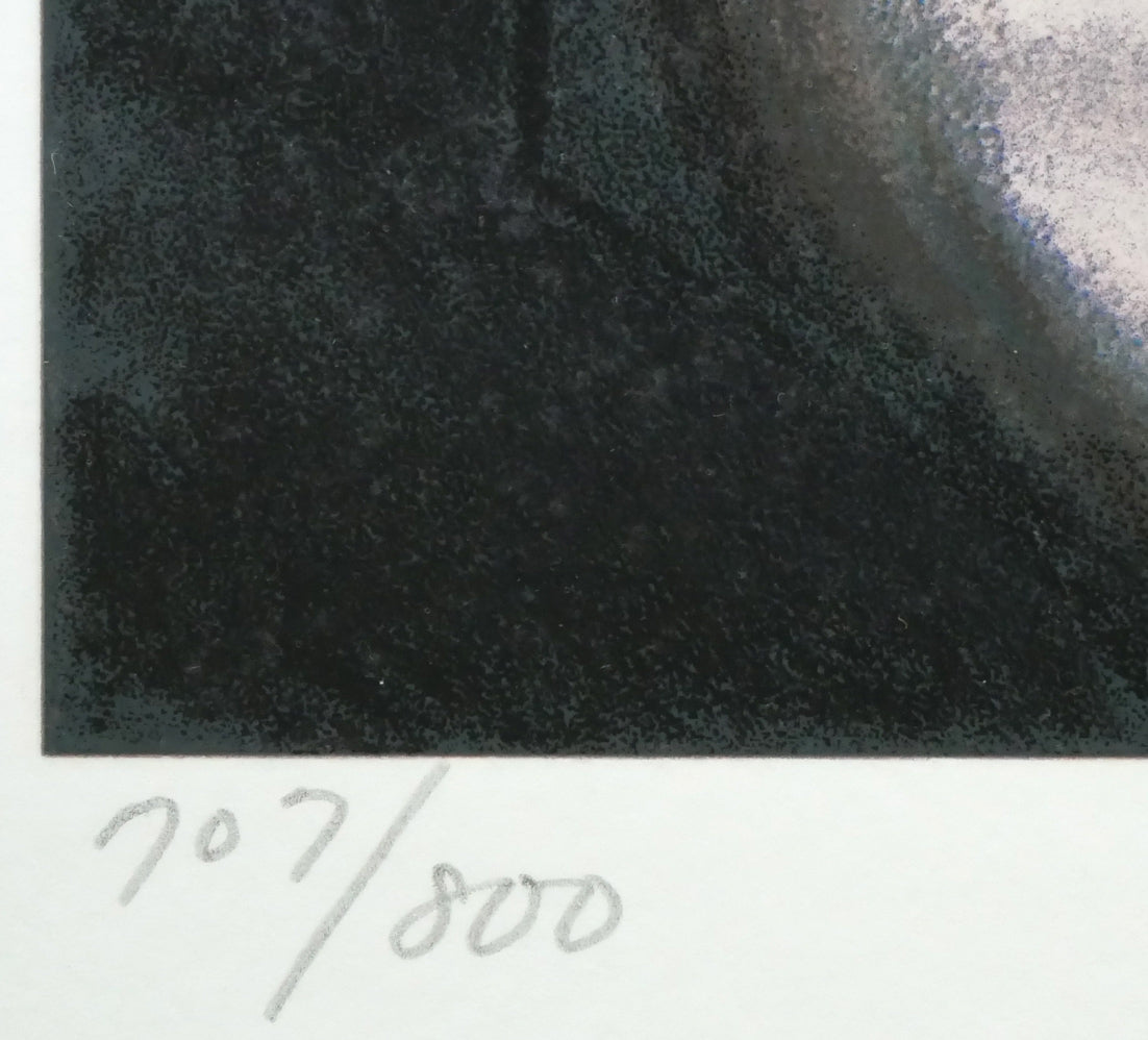 山形博導(ヒロヤマガタ)「モンマルトルの眺め」シルクスクリーン版画 限定番号(ed,707/800)