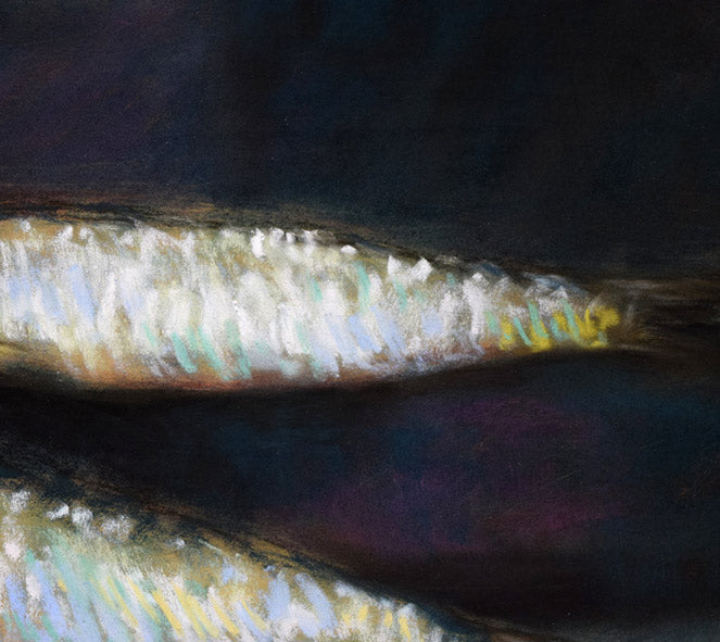 本間武男「鰊(ニシン)」パステル画・F6号 拡大画像3