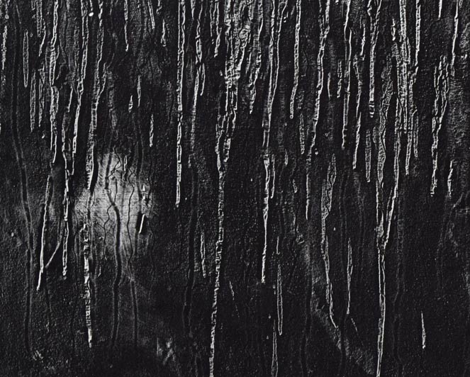 一原有徳「FH(2)」銅版画・50号(大型作品) 拡大画像3