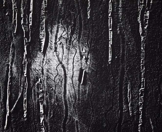 一原有徳「FH(2)」銅版画・50号(大型作品) 拡大画像7