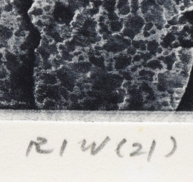 一原有徳「RIW（21）」銅版画　作品タイトル拡大画像
