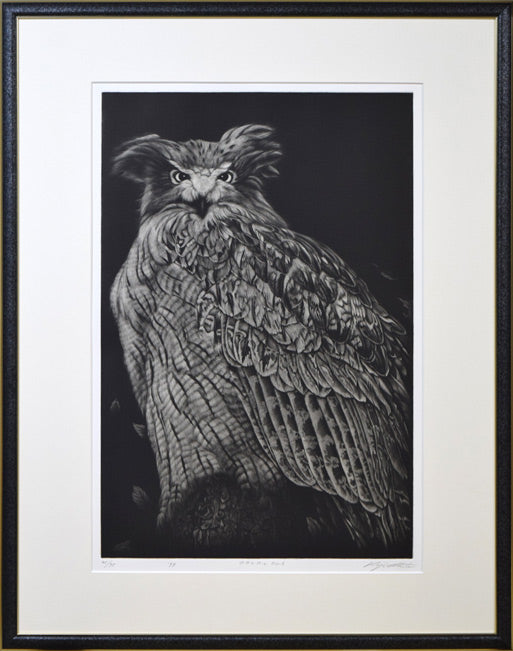 生田宏司「コタンコルカムイ(シマフクロウ)」銅版画(メゾチント)