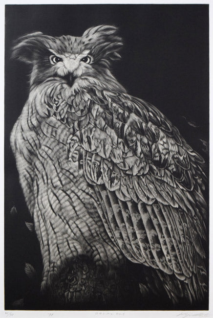 生田宏司「コタンコルカムイ(シマフクロウ)」銅版画(メゾチント) 作品全体拡大画像