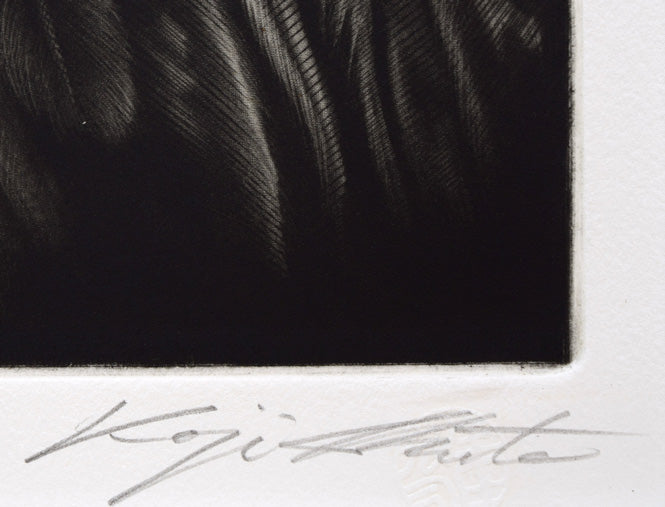 生田宏司「コタンコルカムイ(シマフクロウ)」銅版画(メゾチント) サイン拡大画像