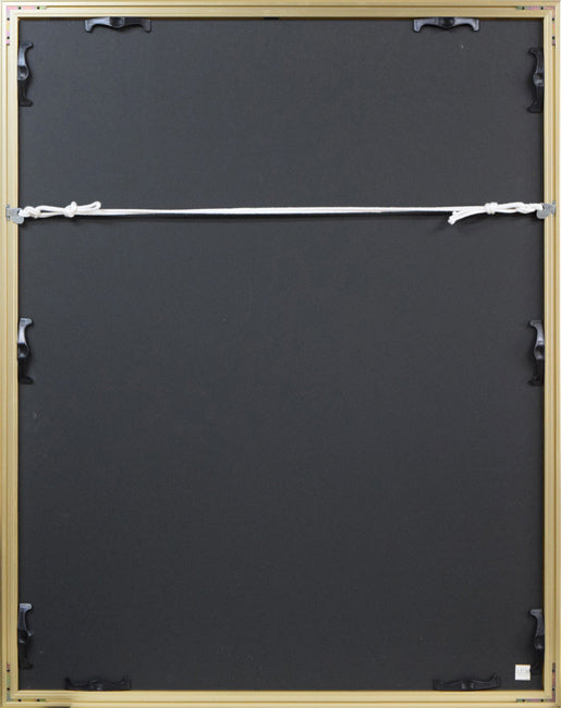 生田宏司「コタンコルカムイ(シマフクロウ)」銅版画(メゾチント) 額縁裏側画像