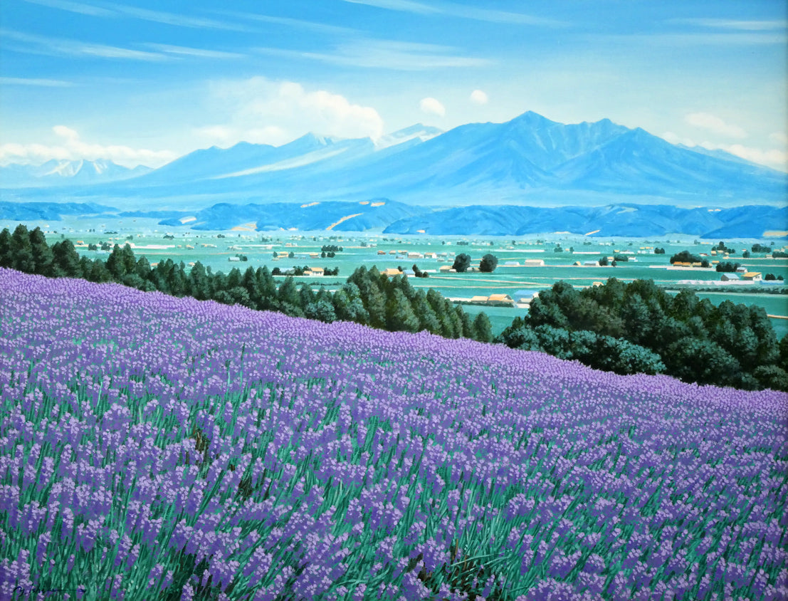石川雄一「ラベンダーと十勝岳(富良野)」油絵・P15号 作品全体画像