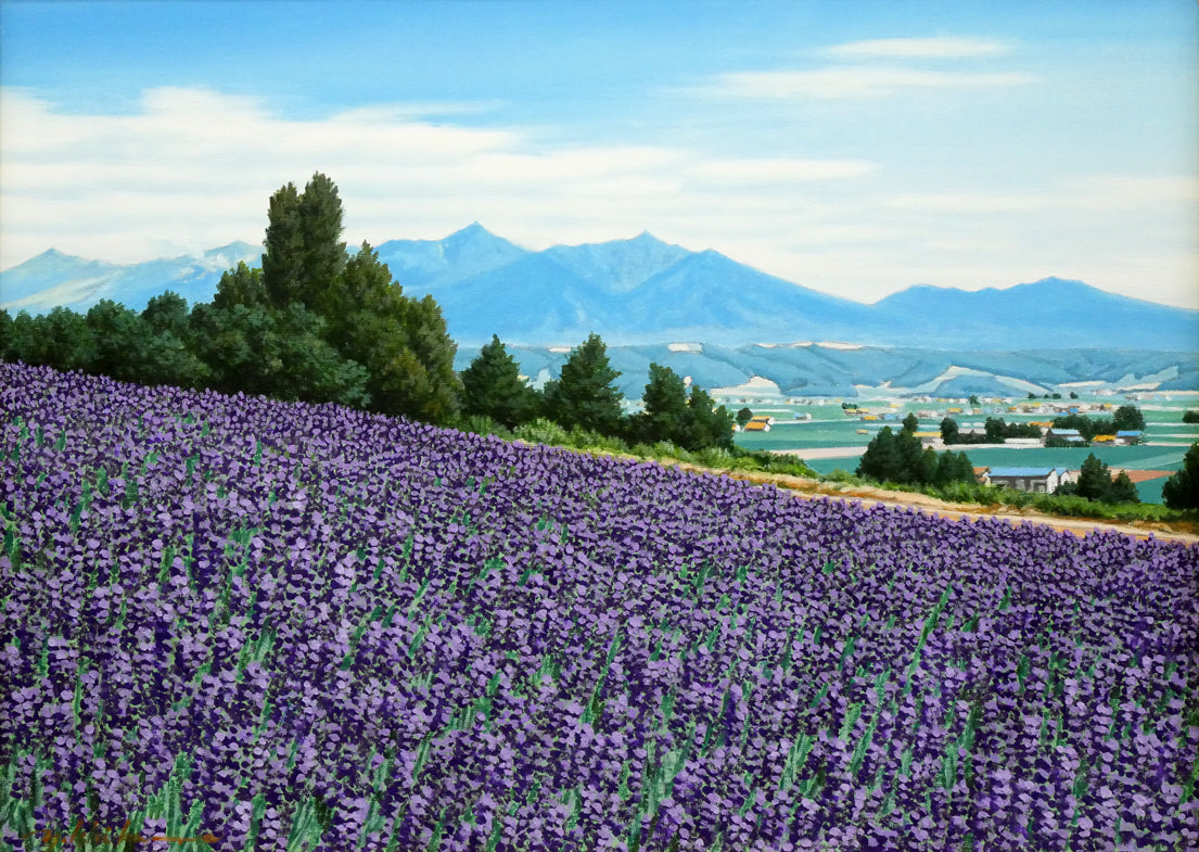 石川雄一「ラベンダーと富良野岳」油絵・P8号 作品全体画像