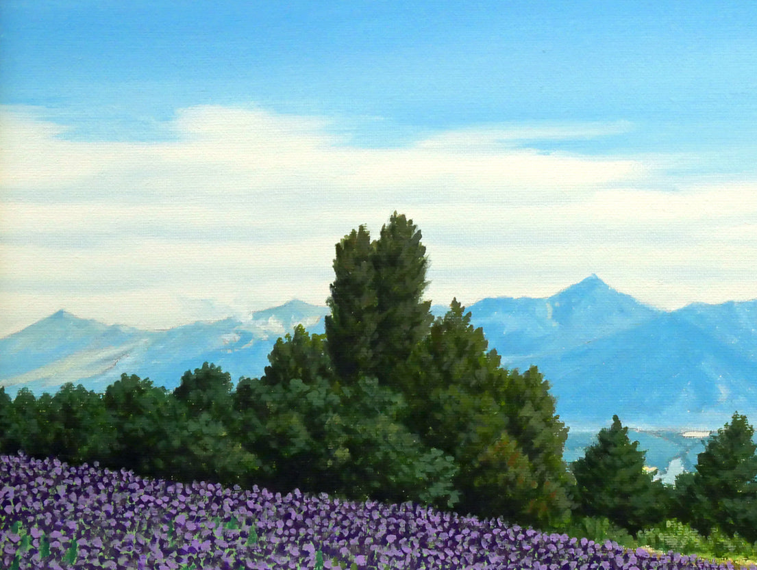 石川雄一「ラベンダーと富良野岳」油絵・P8号 拡大画像1