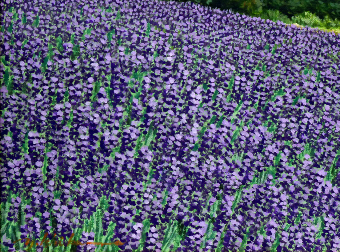 石川雄一「ラベンダーと富良野岳」油絵・P8号 拡大画像4