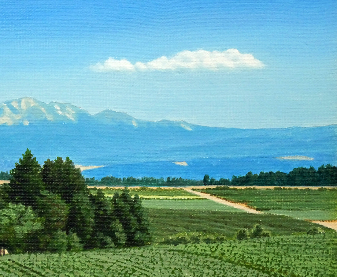 石川雄一「大雪と芋畑(美瑛)」油絵・F4号 拡大画像5