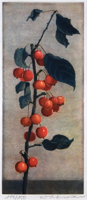 伊藤倭子「赤い実」銅版画　作品全体拡大画像