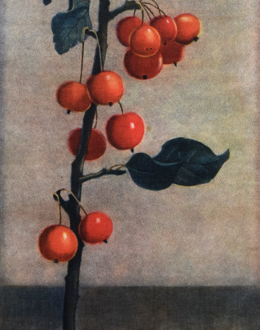 伊藤倭子「赤い実」銅版画 拡大画像2