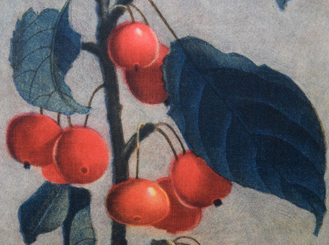 伊藤倭子「赤い実」銅版画 拡大画像4