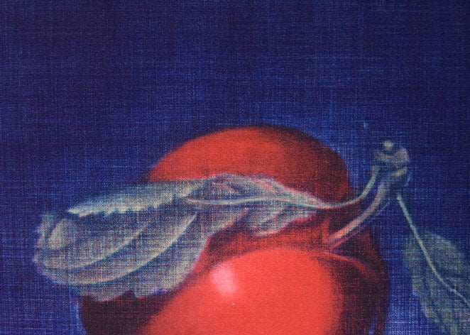 伊藤倭子「ぷらむ」銅版画 拡大画像2