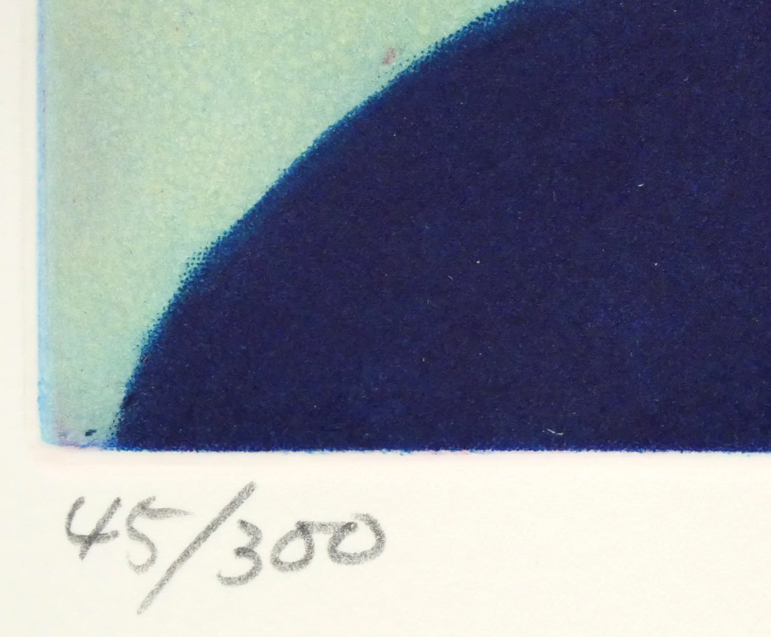 伊藤倭子「三色菫」銅版画 限定番号(ed,45/300)