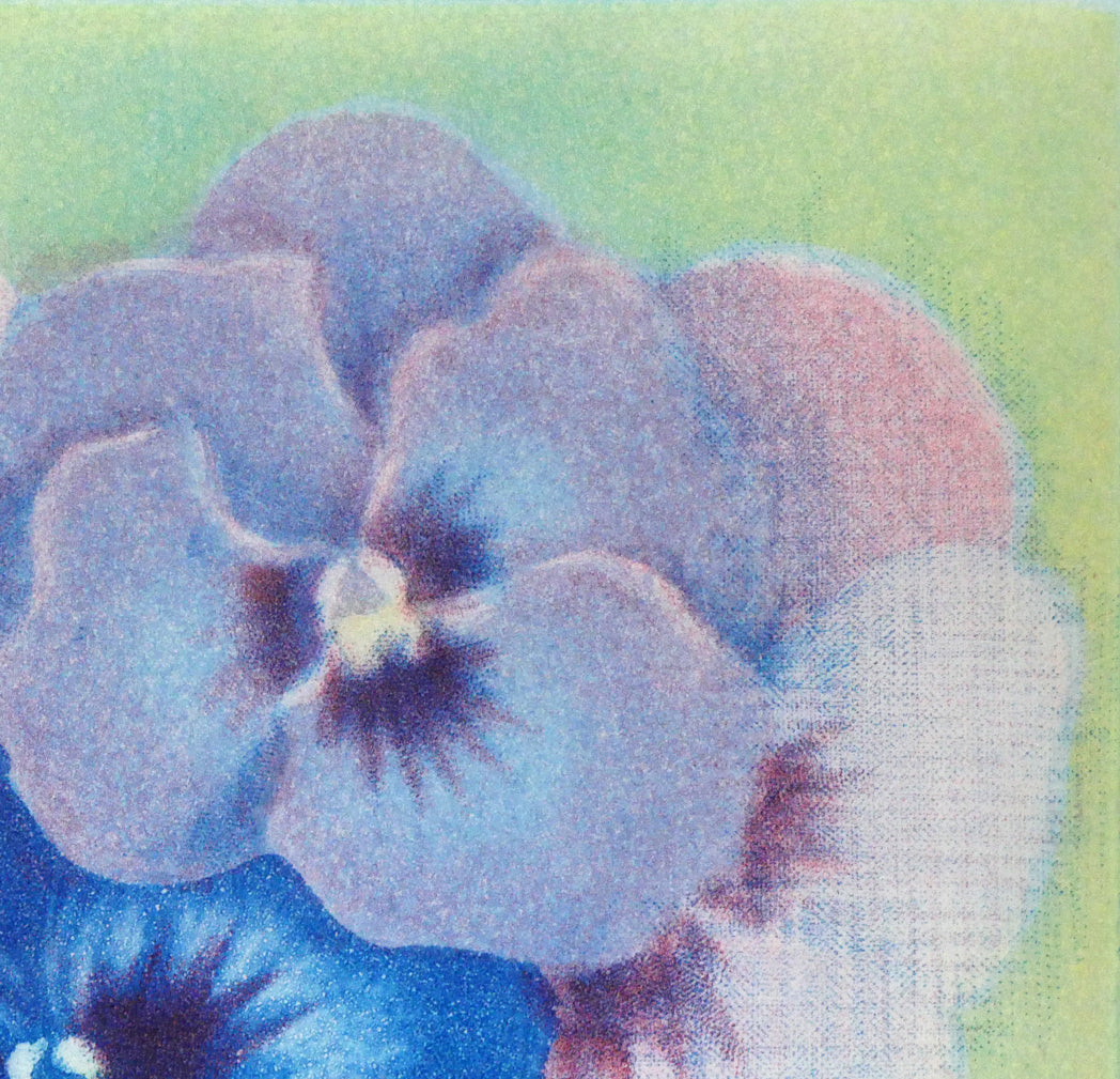 伊藤倭子「三色菫」銅版画 拡大画像2