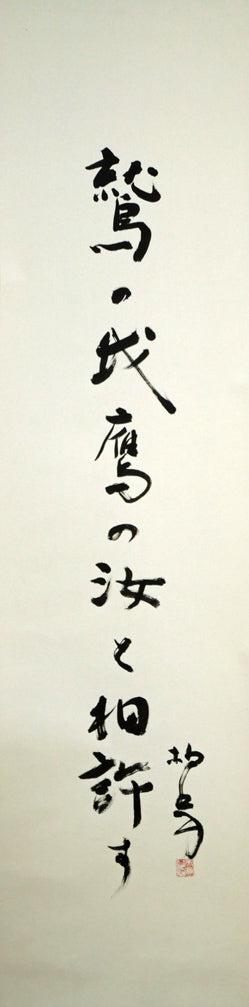 伊藤柏翠「鷲の我 鷹の汝と 相許す」肉筆書掛軸 作品全体画像