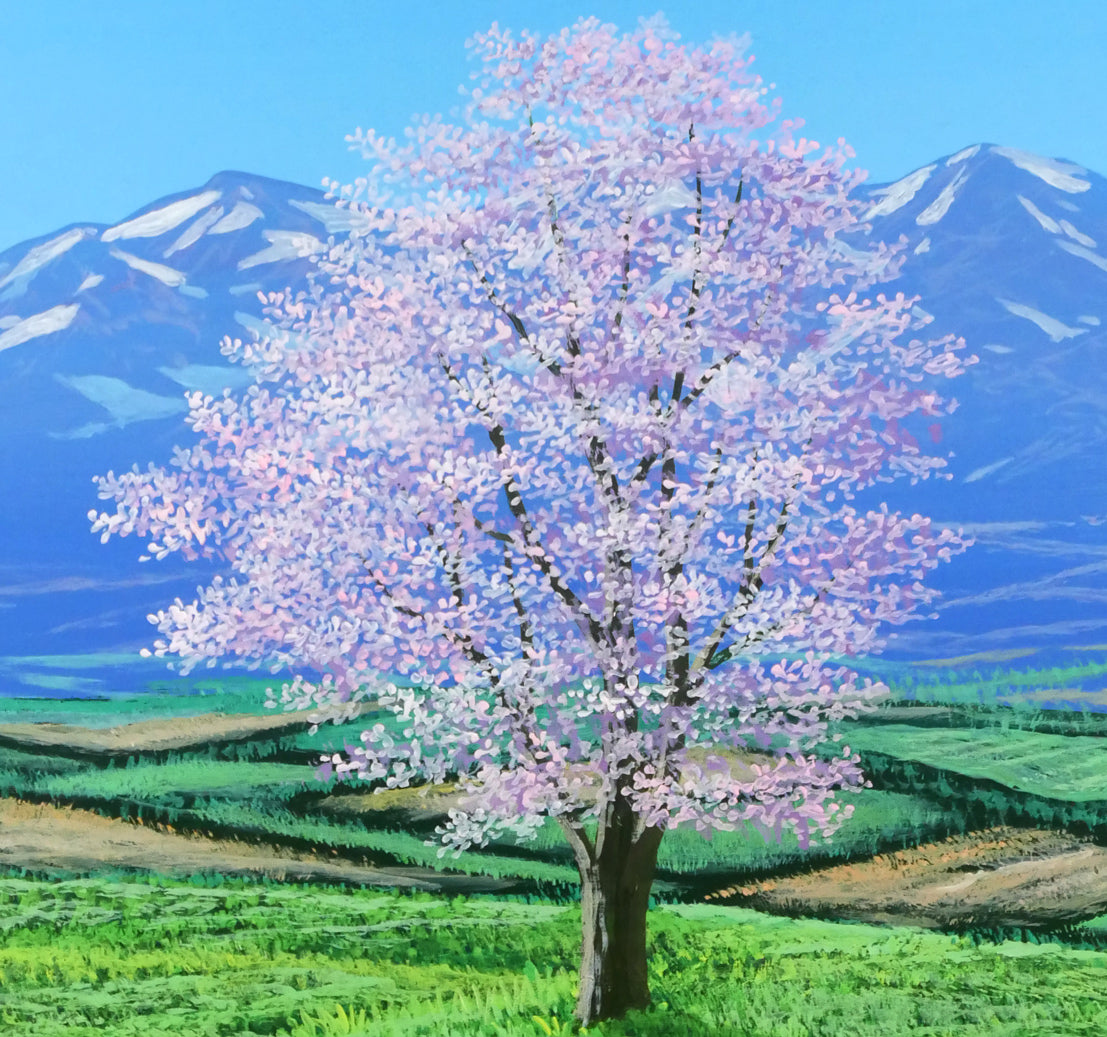上代誠「桜」油絵・F3号 拡大画像2