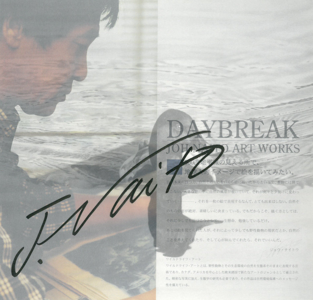 ジョウ ナイトウ「オーロラ・ドリーム」シルクスクリーン版画 画集1