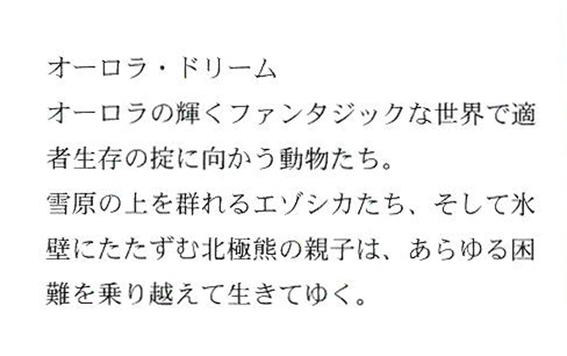 ジョウ ナイトウ「オーロラ・ドリーム」シルクスクリーン版画 画集2拡大画像