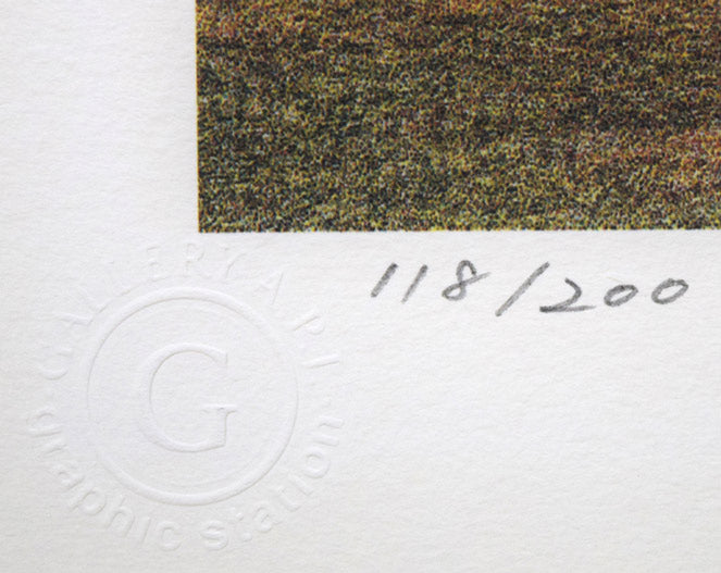 カール ホフナー(Carl Hoffner)「バリー ストリーム」ジクレー版画 限定番号(ed,118/200)